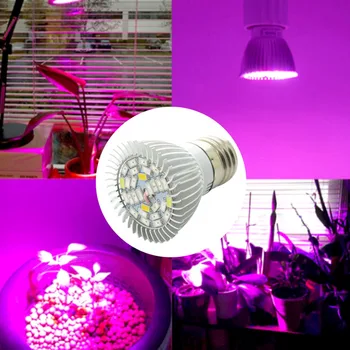 Full Spectrum cfl LED vækst Lys Lampada E27 E14 GU10 110V 220V Indendørs Plante Lampe Blomstring Hydroponics System IR-UV-Haven 7651