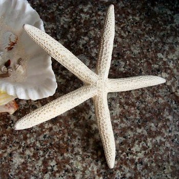 2stk/masse Shell Coral Medium Håndværk 10-12cm Dekoration Naturlige Søstjerner Beige White Sea Star bryllupsfest Sea Star