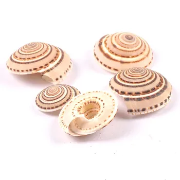 4stk Naturlige Stribe Spiral Shell Scrapbooking Håndværk Muslingeskaller For glasflaske Hjem Diy Dekoration TRS0408 1086