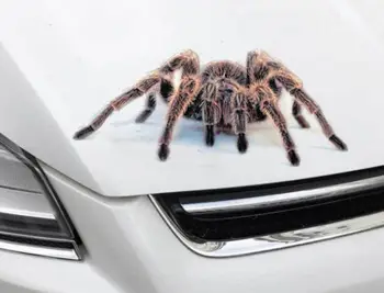 3D Car Mærkat Dyr Kofanger Spider Gecko Scorpions Abarth Vinyl Decal Sticker Biler Auto Motorcykel Tilbehør Wall Stickers 3255