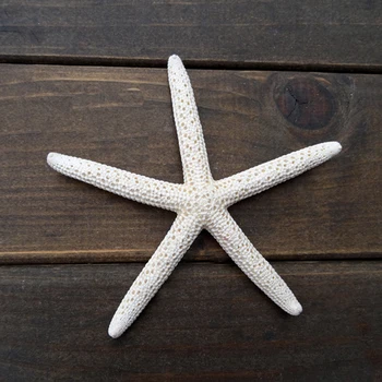 2stk/masse Shell Coral Medium Håndværk 10-12cm Dekoration Naturlige Søstjerner Beige White Sea Star bryllupsfest Sea Star