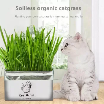 Soilless Økologisk Catgrass Kat Græs Snack Voksende Kit Kat, Græs, Beplantning Bag Børns DIY Spirer Plantning Taske
